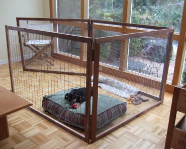 Exercise Pens for Dogs: Playpens for Dogs